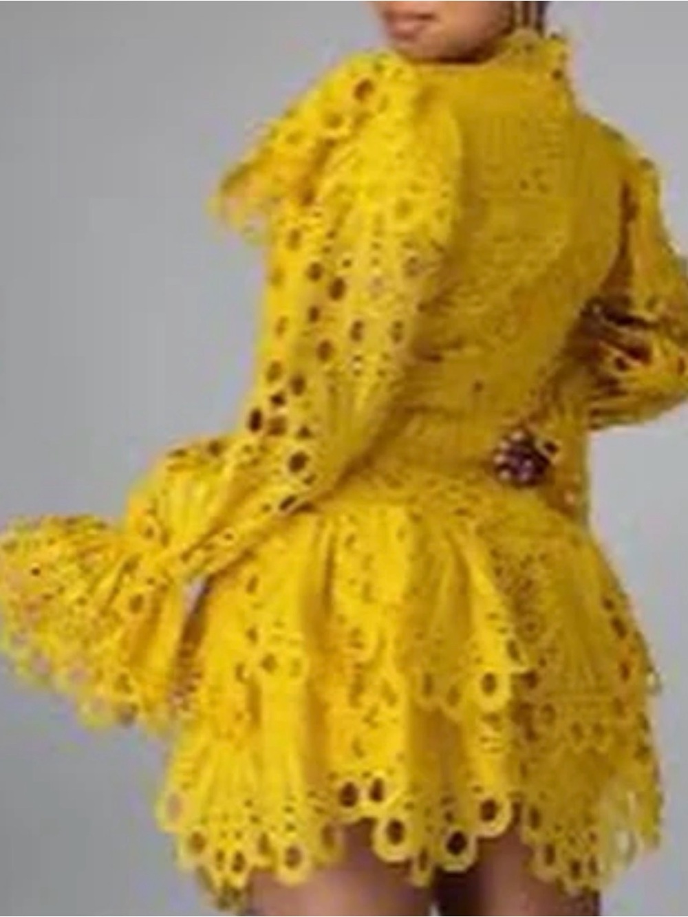 ⭐️NWT The Sang Eyelet Ruffled Dress⭐️ - Picture 2 of 7